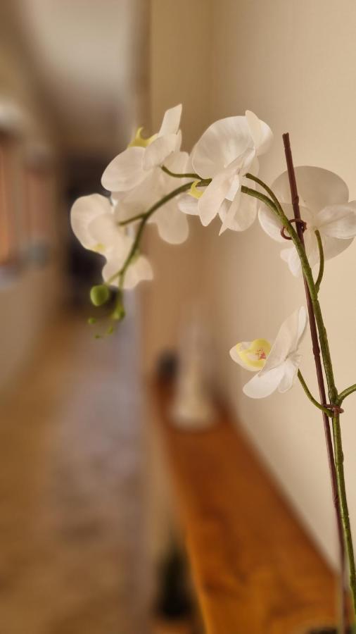 Casa Vacanze Giulia 加里 外观 照片